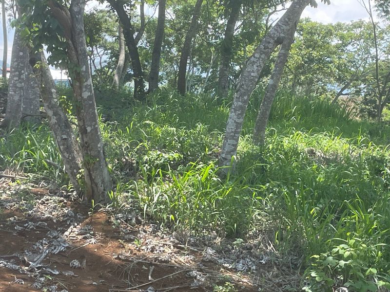 Atenas Costa Rica Land for Sale | Coldwell Banker Pura Vida Paradise